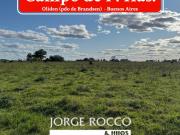 Campo en venta en Oliden pdo. de Brandsen. 14 Has