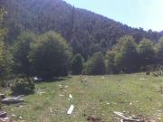 Campo en venta en Pucón 300 Hectáreas