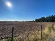 CAMPO EN VENTA PUEBLO MUÑOZ