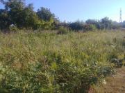 Campo en Vigo