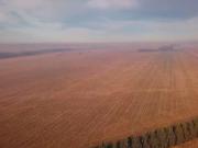 Campo en Zavalla