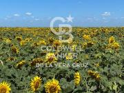 Campo Ganadero en Piamonte