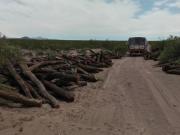 Campo Ganadero en Punta Agua General Alvear