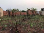 Campo Grande Terreno PadrÃ£o Vila Nasser