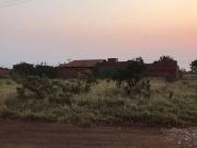 Campo Grande Terreno PadrÃ£o Vila Nasser