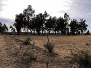 Campo Mendoza, San Rafael