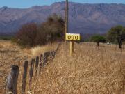 Campo Mixto 480 Ha / Charbonier