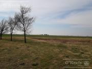 Campo Mixto en venta 292 has en Carlos Tejedor sobre...