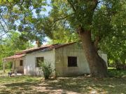 Campo venta 268x218mts 1,4 hectareas La Lonja