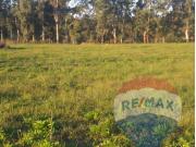 CAMPO/FRACCION DE 1,25 hectareás CALLE 615 Y 25