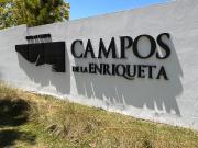 Campos La Enriqueta – Lote N° 188