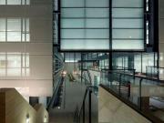 Campus empresarial con zonas ajardinadas modulables en...