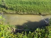 Cane farm close to Tully with two internal permanent Creeks