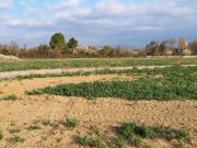 Canet Vente Terrain 11