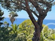 CANNES, appartement à vendre, 2 pièces, 29 m²