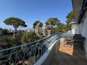 CANNES BASSE CALIFORNIE