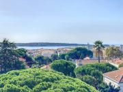 CANNES BASSE CALIFORNIE VUE MER