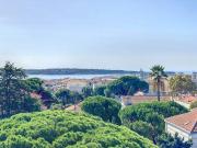CANNES BASSE CALIFORNIE VUE MER