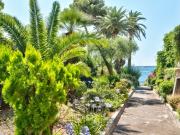 CANNES MOURE ROUGE / PALM BEACH 3 PIECES TRAVERSANT DE...