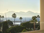Cannes Palm Beach Tres Joli 2 Pieces 35m² Cannes