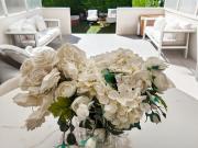 Cannes Vente Appartement 06