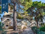 Canosa di Puglia Barletta Andria Trani 97103485