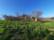 cantina Cocci Grifoni 10 vani 200mq