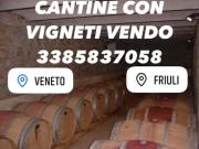 CANTINA CON VIGNETI ANCHE DI PROSECCO