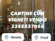 CANTINE CON VIGNETI ANCHE DI PROSECCO DOC