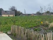 Cany Barville Vente Terrain 76
