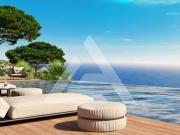 CAP D'AIL DEUX PIECES PROGRAMME NEUF