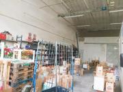 Capannone artigianale in affitto a San Giovanni Alla...