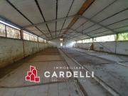 Capannone in vendita a Sant'Elpidio a Mare, Periferia