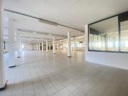 Capannone in affitto a Albano Sant'Alessandro