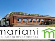 Capannone in affitto a Ariccia