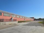 Capannone in affitto a Attigliano