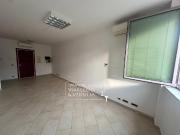 Capannone in affitto a Camaiore