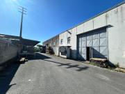 Capannone in affitto a Carrara