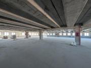 Capannone in affitto a Caserta