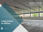 Capannone in affitto a Cittadella