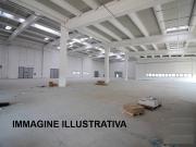 CAPANNONE in AFFITTO a FIRENZE