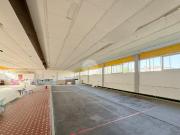 Capannone in affitto a Guidizzolo