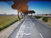 Capannone in affitto a Livorno