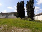 Capannone in affitto a Mercallo