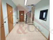 Capannone in affitto a Modena