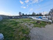 Capannone in affitto a Napoli