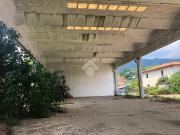 Capannone in affitto a Patrica