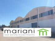 Capannone in affitto a Pomezia