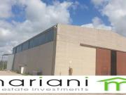 Capannone in affitto a Pomezia