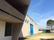 Capannone in affitto a Pontassieve